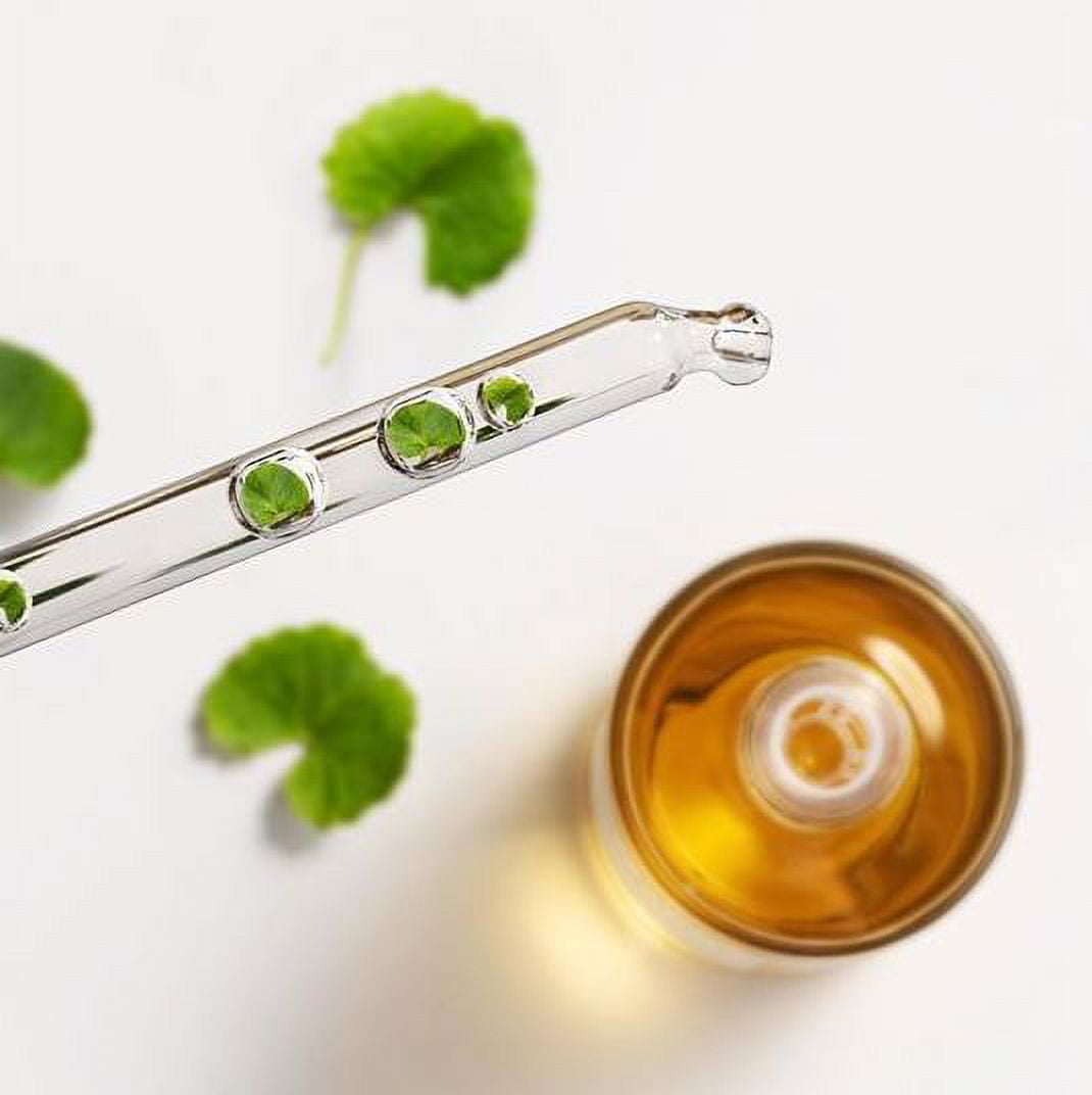 Madagascar Centella Ampoule 100ml by Korean Skin Care in a clear glass bottle with a dropper cap for skincare.