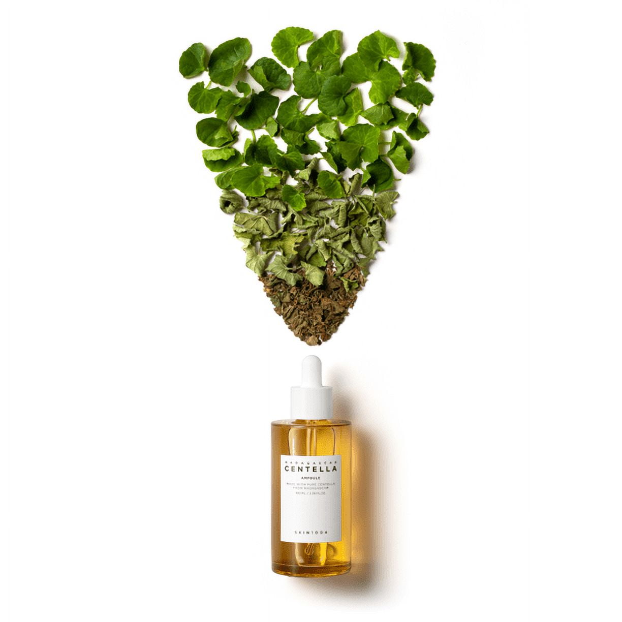 Madagascar Centella Ampoule from Korean Skin Care in a clear 100ml bottle, with a dropper for precise application