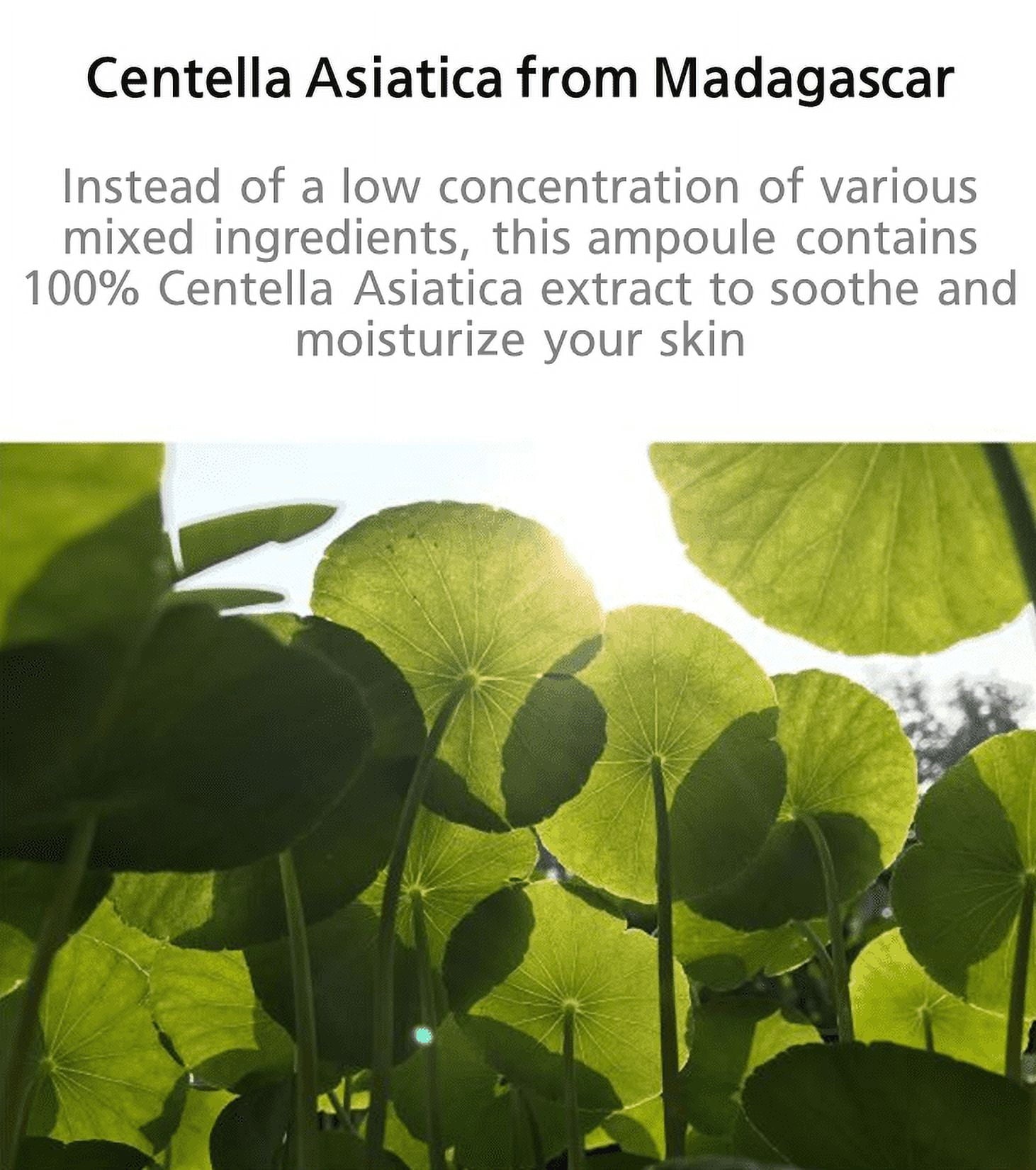 Korean Skin Care Madagascar Centella Ampoule 100ml in a clear glass bottle with a pump dispenser, labeled with product details.